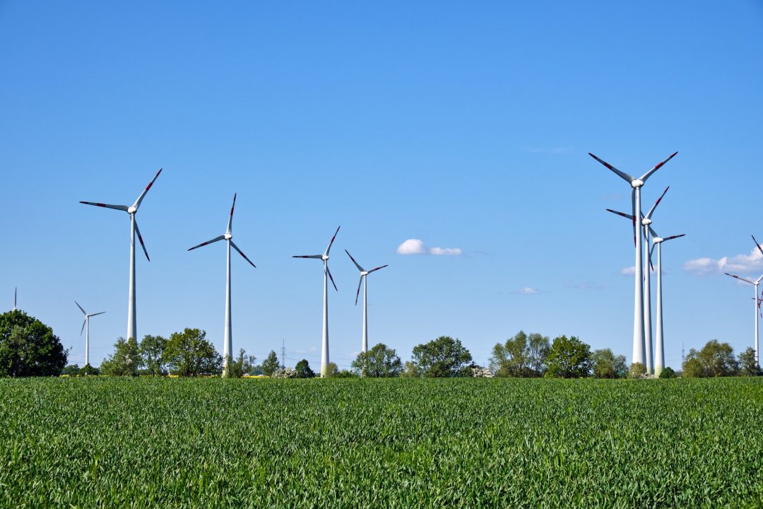 Özdem Global çevre politikası için yeşil enerji kaynakları